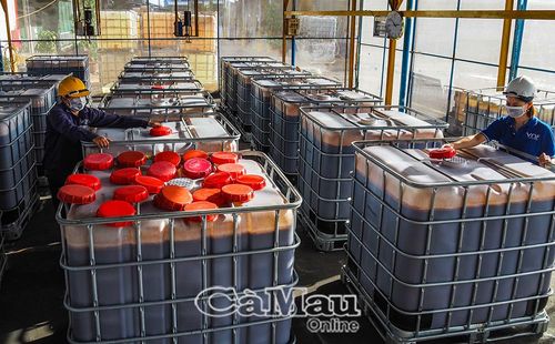Sản phẩm dịch thủy phân tôm đóng thùng chuẩn bị xuất bán.
