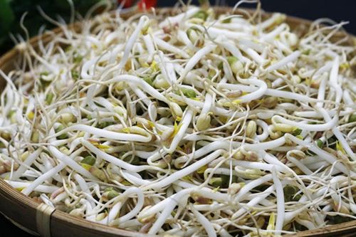Người dân nên quan sát giá đỗ để lựa mua được giá đỗ không hóa chất.