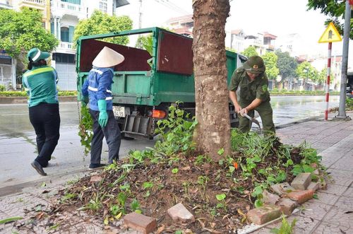 Ngay sau lễ phát động bảo vệ môi trường, các lực lượng đồng loạt tổng vệ sinh, chỉnh trang đô thị trên địa bàn phường. Ảnh: TH
