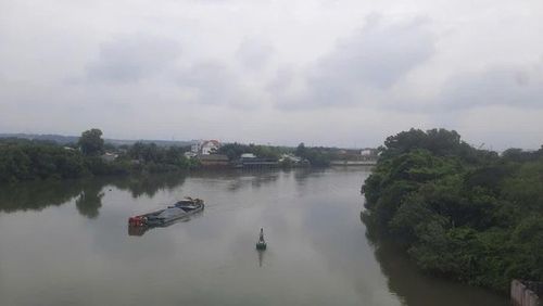 Cù lao Bạch Đằng được dòng sông Đồng Nai bao bọc, giữ được không gian xanh giữa vùng đô thị.