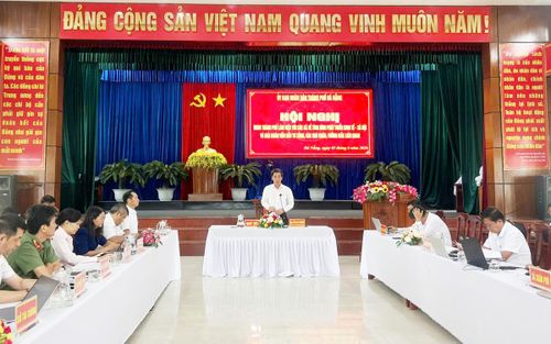 Phó Chủ tịch UBND thành phố Đà Nẵng Trần Chí Cường phát biểu chỉ đạo.