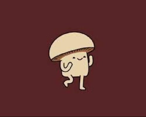 Giải pháp thứ hai là kiểm tra và dọn sạch các thư mục ẩn trong ứng dụng Ảnh cũng như iMessage, nơi chứa hàng loạt hình ảnh, video, GIF và tệp đính kèm được lưu trữ trong nhiều tháng hoặc nhiều năm mà người dùng hiếm khi chú ý tới, dù chúng có thể chiếm tới hàng chục GB dung lượng trên những chiếc iPhone đã sử dụng lâu năm.
