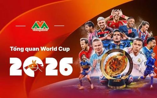 Bản quyền truyền hình vẫn giữ vai trò là nguồn thu lớn nhất, tốc độ tăng trưởng của lĩnh vực này chỉ đạt khoảng 29,2% so với chu kỳ 2019–2022.