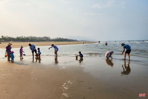 Trên nền cát còn ẩm, người lớn và trẻ nhỏ đều chăm chú quan sát từng dấu vết để tìm kiếm "báu vật".