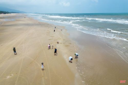 Khi thủy triều xuống, những bãi cát ven biển Hà Tĩnh lại trở thành điểm hẹn của nhiều gia đình. Cùng bố mẹ đi bắt tôm tít, trẻ em có cơ hội trải nghiệm một hoạt động gần gũi với thiên nhiên và cuộc sống vùng biển.