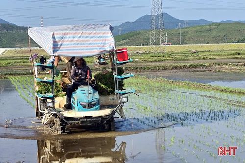 Thâm canh theo mô hình SRI được đánh giá là một trong những giải pháp phù hợp, góp phần tiết kiệm tài nguyên, giảm phát thải và nâng cao hiệu quả kinh tế.