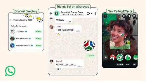 (Nguồn: WhatsApp)