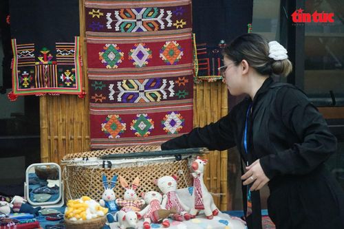 Sự tham gia của các bạn trẻ đang góp phần mở ra những cách tiếp cận mới cho di sản văn hóa.