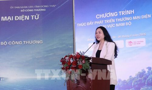 Bà Lê Hoàng Oanh, Cục trưởng Cục Thương mại điện tử và kinh tế số - Bộ Công Thương phát biểu tại hội nghị. Ảnh: Hồng Nhung – TTXVN
