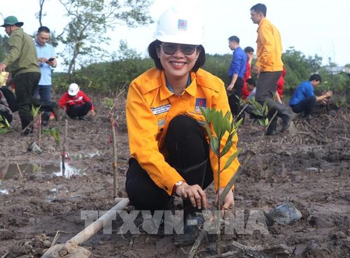 Cán bộ nhân viên Tập đoàn Công nghiệp – Năng lượng Quốc gia Việt Nam tham gia trồng rừng. Ảnh: Tuấn Phi - TTXVN