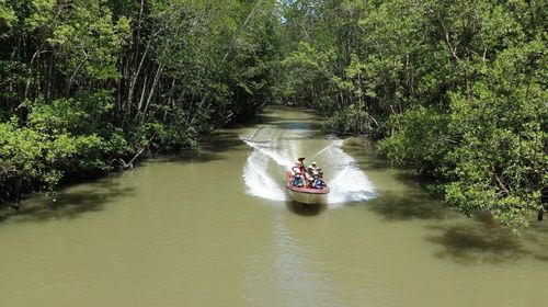 Cần Giờ mang trong mình giá trị sinh thái hiếm có ngay cạnh một siêu đô thị.