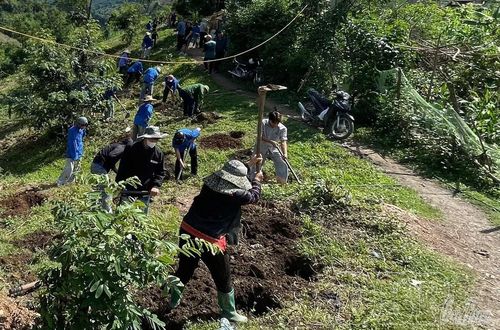 Chiến dịch đào hố trồng cà phê, mắc ca được cán bộ khuyến nông cơ sở và các đơn vị, lực lượng tham gia tích cực.
