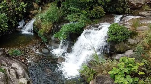 Rừng không chỉ là lá phổi xanh mà còn được ví như những “bể chứa nước” tự nhiên khổng lồ.