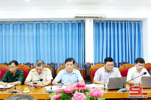 Các đại biểu tham dự hội nghị