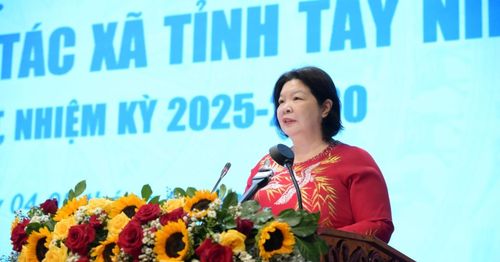 Chủ tịch Liên minh HTX Việt Nam Cao Xuân Thu Vân phát biểu tại Đại hội.