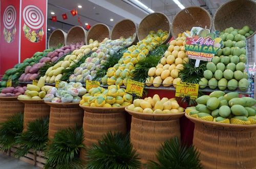 Đồng Tháp, địa phương tập trung các cây chủ lực gồm sầu riêng, xoài, mít, thanh long, nhãn, bưởi...