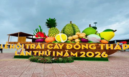 Đây là lần đầu tiên Đồng Tháp tổ chức Lễ hội trái cây với quy mô cấp tỉnh.