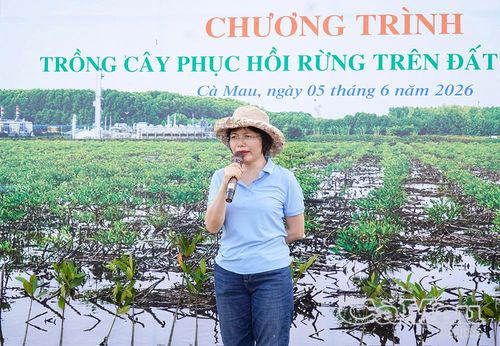 Bà Đỗ Thị Thu Phương, Phó Trưởng ban An toàn môi trường và Phát triển bền vững (Tập đoàn Công nghiệp - Năng lượng Quốc gia Việt Nam), khẳng định, đơn vị sẽ tiếp tục đồng hành cùng tỉnh Cà Mau trong công tác trồng và chăm sóc rừng, góp phần bảo vệ hệ sinh thái xanh bền vững.