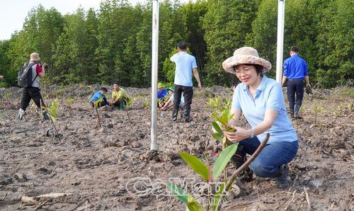 Các đại biểu và lực lượng đoàn viên, thanh niên ra quân trồng cây đước tại khu vực bãi bồi trên địa bàn Xã Phan Ngọc Hiển.