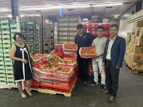 Vải thiều tươi đầu vụ của Việt Nam chinh phục thị trường Hoa Kỳ. Ảnh: Bộ Công Thương.