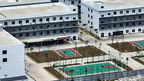  Bên trong một khu phức hợp tòa nhà lớn đã được sơ tán sau chiến dịch trấn áp lừa đảo của Campuchia tại Chrey Thum, bao gồm sân bóng rổ, nhà hàng và camera giám sát. Ảnh: CNA. 