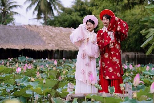 Những hồ sen đang vào mùa khoe sắc trở thành điểm nhấn thu hút du khách