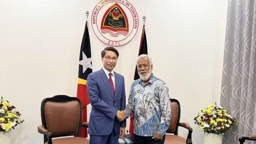 Đại biện Việt Nam tại Timor-Leste Phạm Bình Đàm chào xã giao Thủ tướng Timor-Leste Xanana Gusmão. (Ảnh do Đại sứ quán Việt Nam tại Timor-Leste cung cấp)