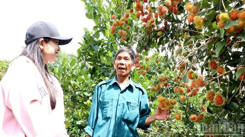 Ông Trần Văn Lộc chia sẻ về việc khai thác du lịch sinh thái vườn trái cây của gia đình.