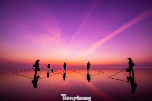 Mặt trời chưa ló rạng, ngư dân đã có mặt trên bãi triều để mưu sinh theo con nước. Hình ảnh kéo lưới, cào ngao, thu gom hải sản hiện lên nổi bật trên mặt nước phản chiếu, tạo nên những điểm nhấn sinh động giữa không gian biển trời mênh mang.