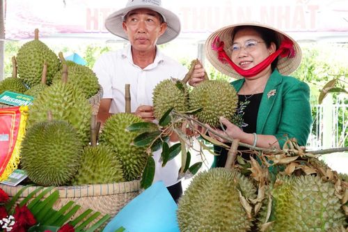 Bà Hồ Thị Cẩm Đào - Phó Bí thư Thành ủy, Chủ tịch Ủy ban Mặt trận Tổ quốc Việt Nam TP. Cần Thơ - tham gia quảng bá, thúc đẩy tiêu thụ sầu riêng trồng trên địa bàn.