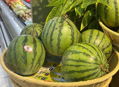 Dưa hấu cung cấp lycopene tốt cho cơ thể nhưng chứa nhiều đường nên bạn cần ăn vừa phải. Ảnh: Ban Mai