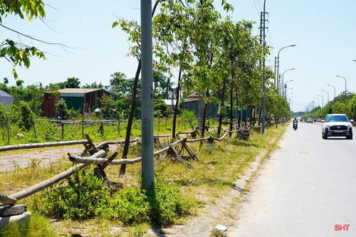 Đáng chú ý, tại nhiều vị trí vỉa hè trên tuyến đường Trương Quốc Dụng, các khúc gỗ, cọc tre và khối bê tông được giăng dày đặc để làm giá phơi bánh đa nem. Nhiều đoạn gần như bị chiếm dụng hoàn toàn, gây cản trở giao thông, ảnh hưởng đến việc đi lại của người dân.