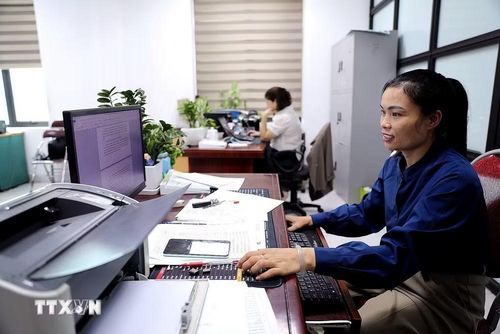 Cán bộ Ủy ban Nhân dân phường Hòa Bình nỗ lực làm việc từ 12 đến 14 giờ mỗi ngày để bảo đảm tiến độ giải quyết công việc. (Ảnh: Thanh Hải/TTXVN)