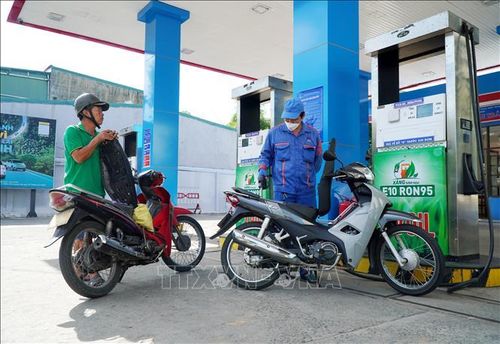 Sản lượng tiêu thụ xăng E10 RON95 đang từng bước đạt mức tương đương với sản lượng tiêu thụ xăng khoáng RON95 trước đây.