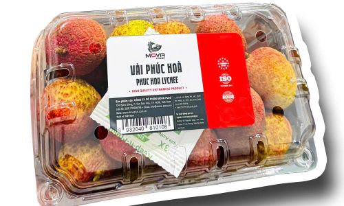  Sản phẩm vải thiều tươi Phúc Hòa được cấp đông, đóng gói tại Công ty cổ phần Xuất nhập khẩu Vifoco. 