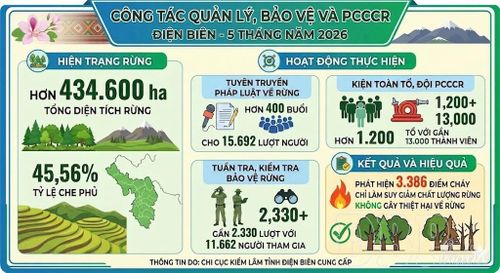 Những tín hiệu tích cực trong công tác quản lý, bảo vệ và PCCCRở tỉnh Điện Biên.