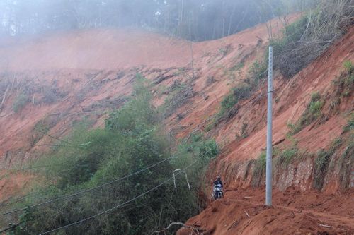 Một số diện tích rừng đã được chuyển đổi, nhường đường cho việc khắc phục sạt lở trên Quốc lộ 28