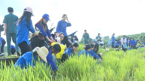 Đoàn viên, thanh niên địa phương làm vệ sinh môi trường