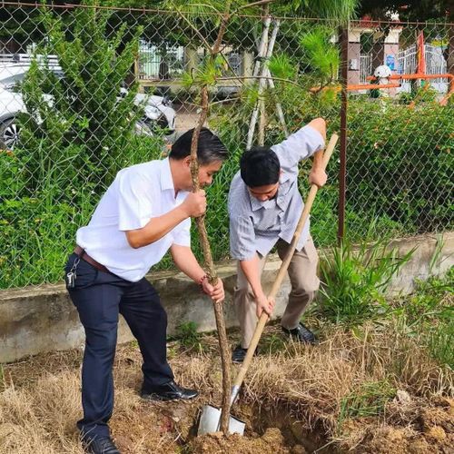 Sau lễ phát động toàn thể cán bộ, công chức, viên chức tham gia trồng cây