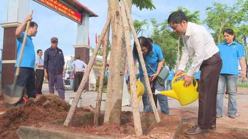 Trồng cây xanh tạo quang cảnh