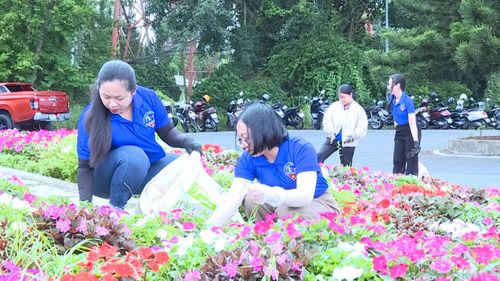 Đoàn viên, thanh niên Báo và Phát thanh, Truyền hình Lâm Đồng tham gia dọn dẹp vệ sinh môi trường