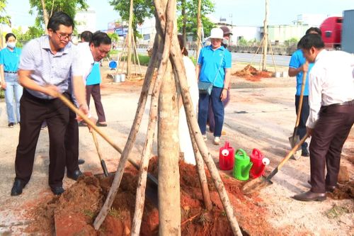 Lãnh đạo phường Hàm Thắng cùng cán bộ, công chức, viên chức trồng cây xanh