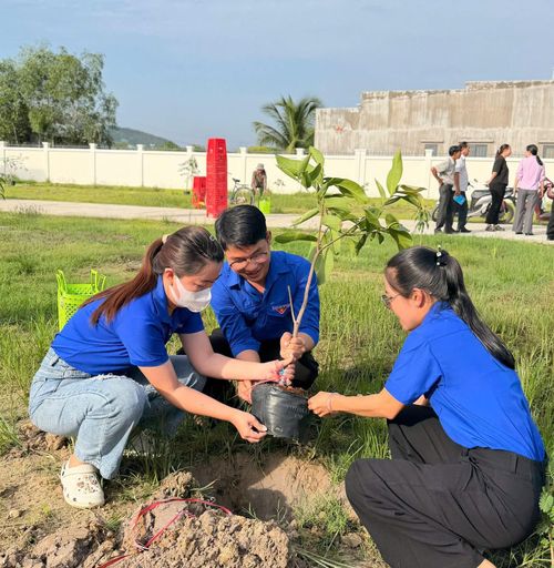 Những hàng cây xanh được đoàn viên, thanh niên trồng mới