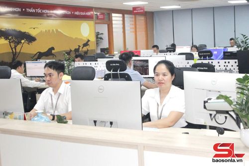 Cán bộ, nhân viên Viettel Chi nhánh Sơn La trong giờ làm việc 