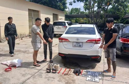 Phương tiện đi trộm chó chủ yếu là xe ô tô.