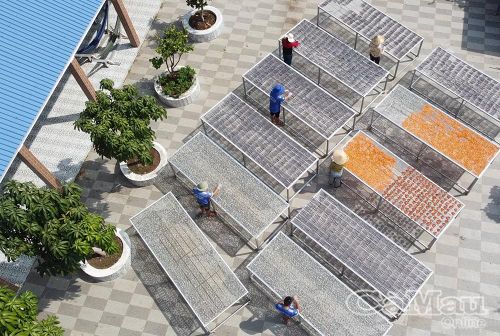  Sân phơi rộng rãi, thông thoáng giúp đón trọn ánh nắng tự nhiên, đảm bảo chất lượng khô cá thành phẩm.