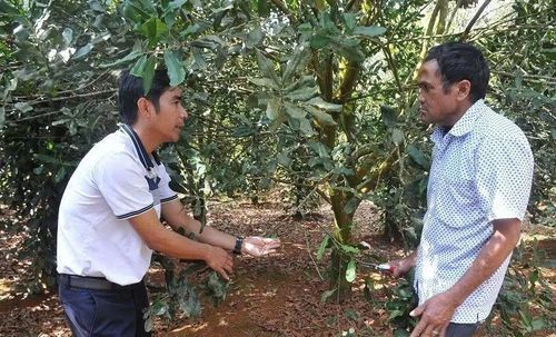 Việc thực hiện chính sách đất đai thời gian qua đã mang lại nhiều lợi ích thiết thực. Đất đai trở thành tài sản có giá trị pháp lý, giúp đồng bào dân tộc thiểu số thuận lợi hơn trong việc tiếp cận các nguồn vốn tín dụng ưu đãi để đầu tư sản xuất. Nhiều hộ dân đã có điều kiện mở rộng diện tích canh tác, phát triển các loại cây trồng chủ lực như cà phê, hồ tiêu, điều và cây ăn trái, từng bước cải thiện thu nhập và giảm nghèo bền vững