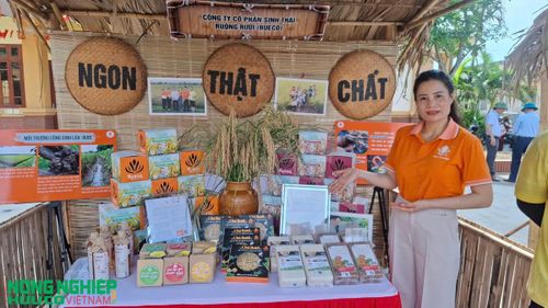 Đa dạng các sản phẩm chất lượng, có giá trị dinh dưỡng cao sản xuất cộng sinh từ mô hình lúa rươi hữu cơ