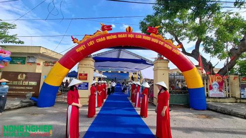 Ngày hội lúa rươi hữu cơ xã Chí Minh 2026 (ảnh:Kim Huệ)