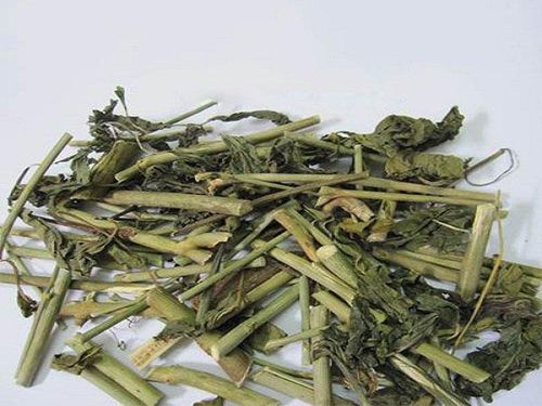 Cây xương khỉ khô.